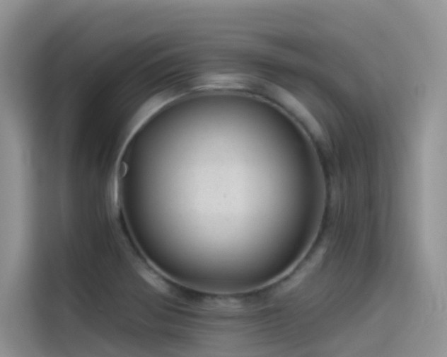 X0000114491370200910191222