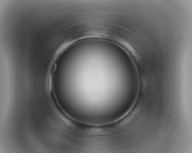 X0000114491371200910191222