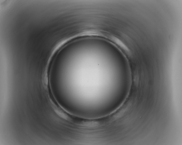 X0000114491372200910191222