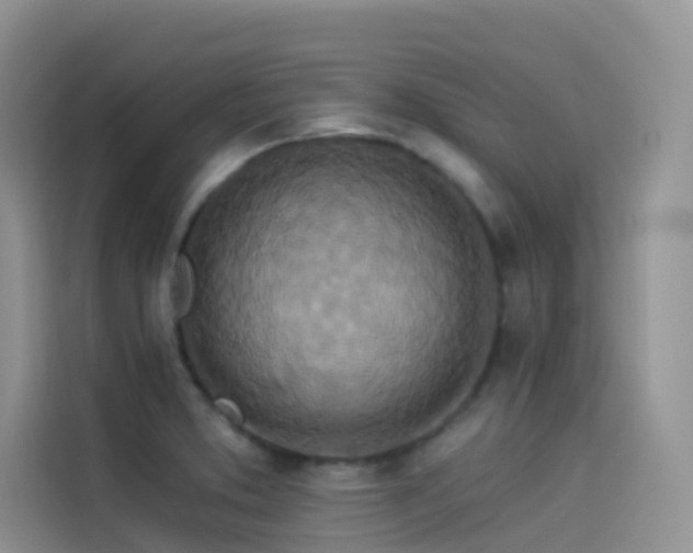 X0000114491373200910191222