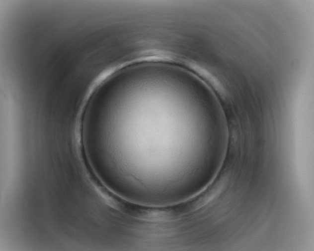 X0000114491375200910191222