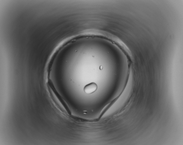 X0000114491376200910191222