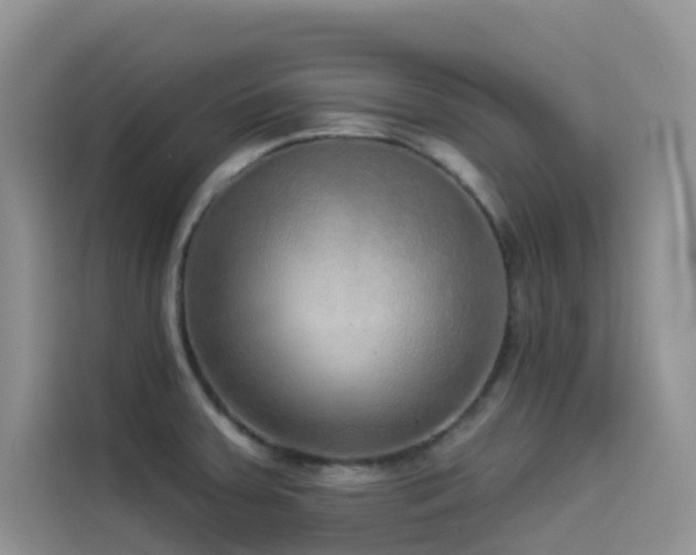X0000114491379200910191222