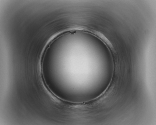 X0000114491380200910191222