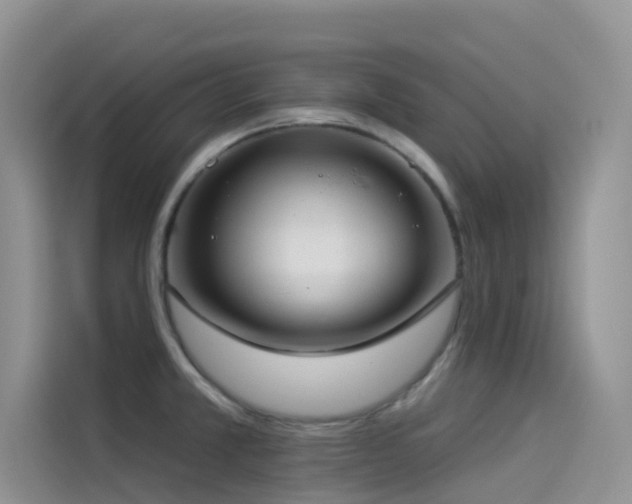 X0000114491381200910191222