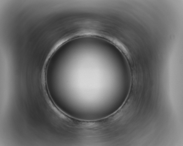 X0000114491382200910191222