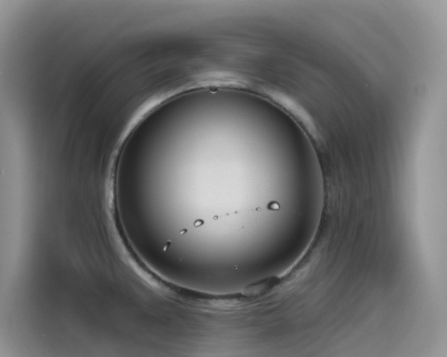 X0000114491383200910191222