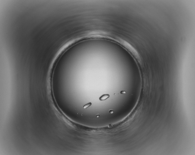 X0000114491384200910191222