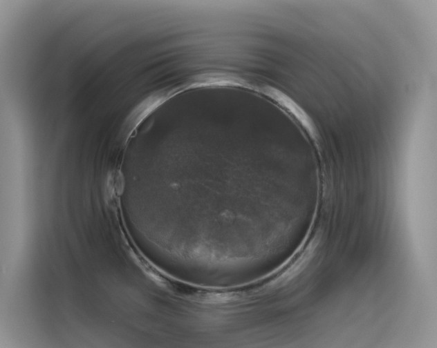 X0000114491385200910191222