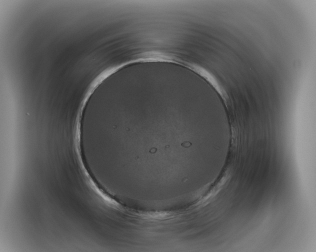 X0000114491387200910191222