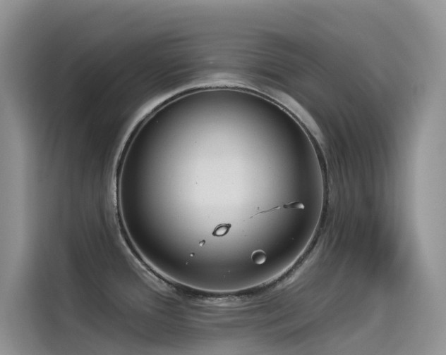 X0000114491388200910191222