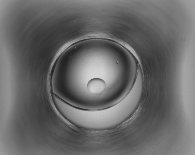 X0000114491389200910191222