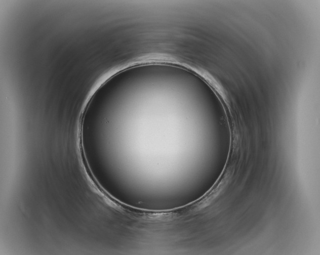 X0000114491390200910191222