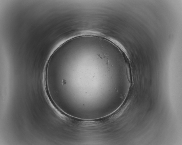 X0000114491391200910191222