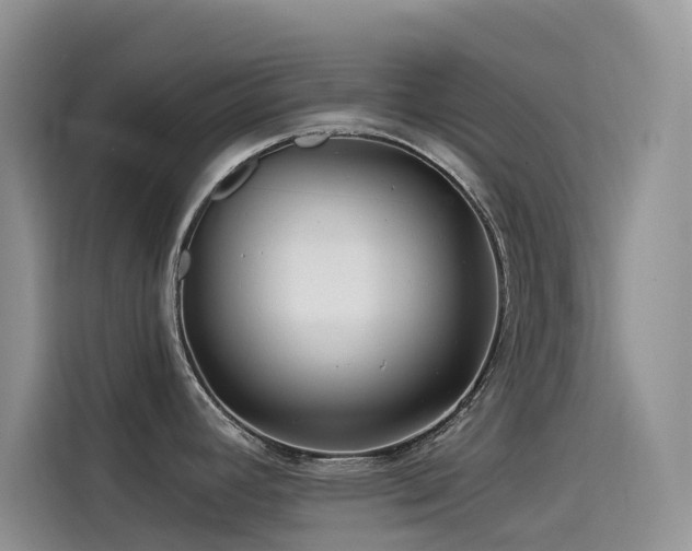 X0000114491392200910191222