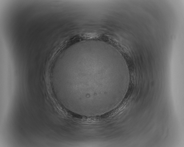 X0000114491393200910191221