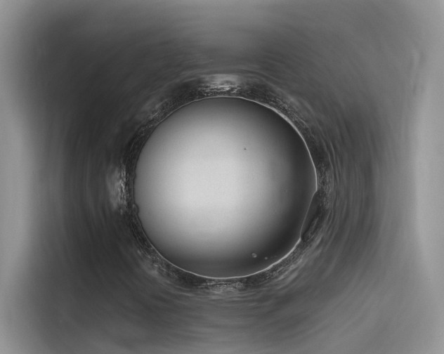 X0000114491394200910191221