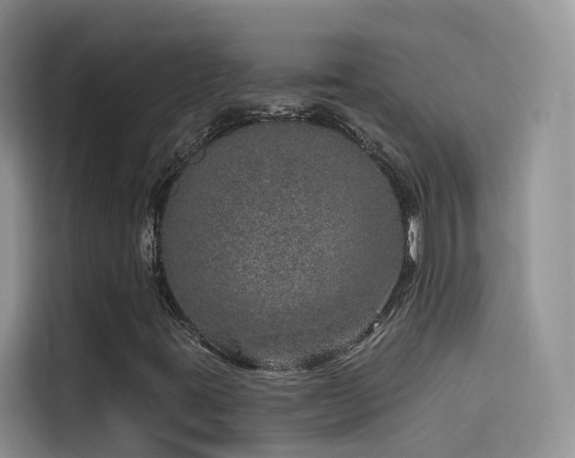 X0000114491395200910191221