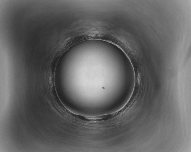 X0000114491396200910191221