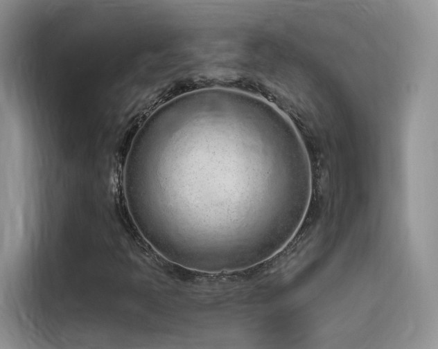 X0000114491397200910191221