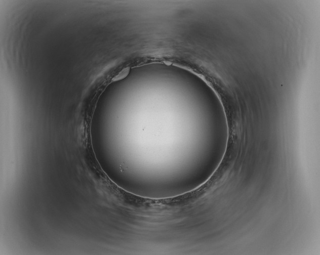 X0000114491398200910191221