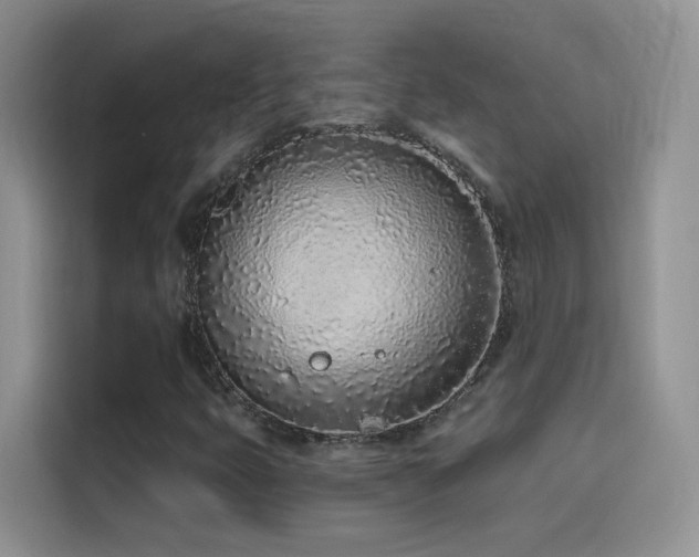 X0000114491399200910191221