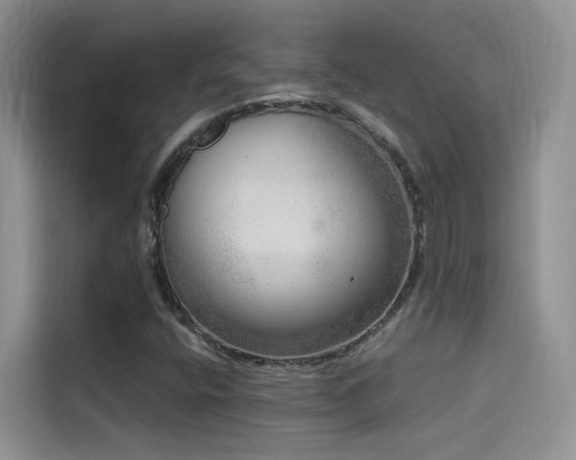 X0000114491400200910191221