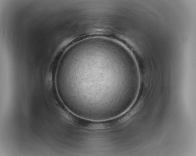 X0000114491402200910191221