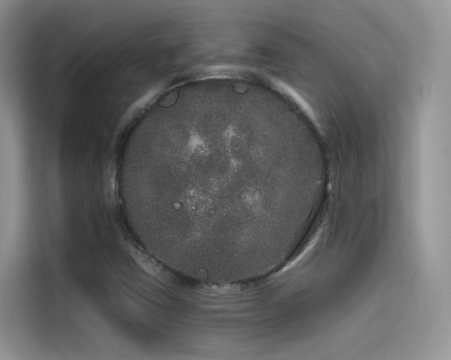 X0000114491403200910191221
