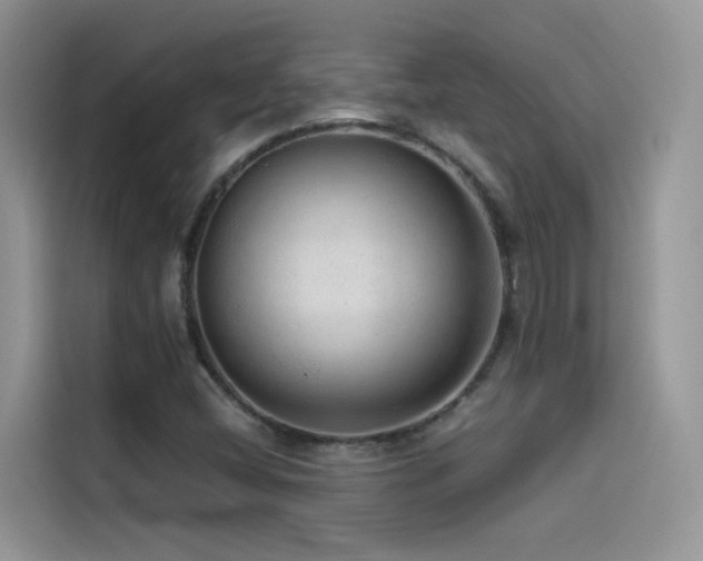 X0000114491404200910191221