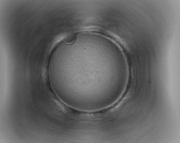 X0000114491405200910191221