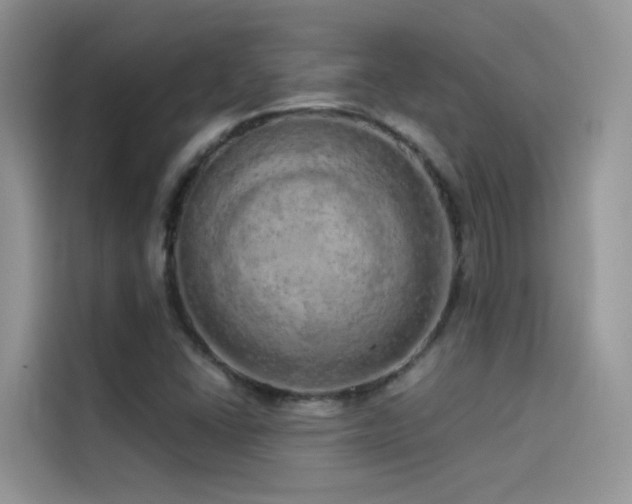 X0000114491406200910191222