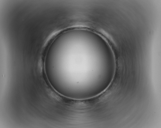 X0000114491408200910191222