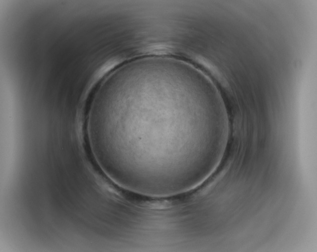 X0000114491410200910191222