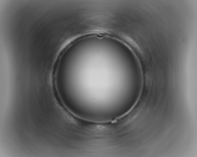 X0000114491412200910191222