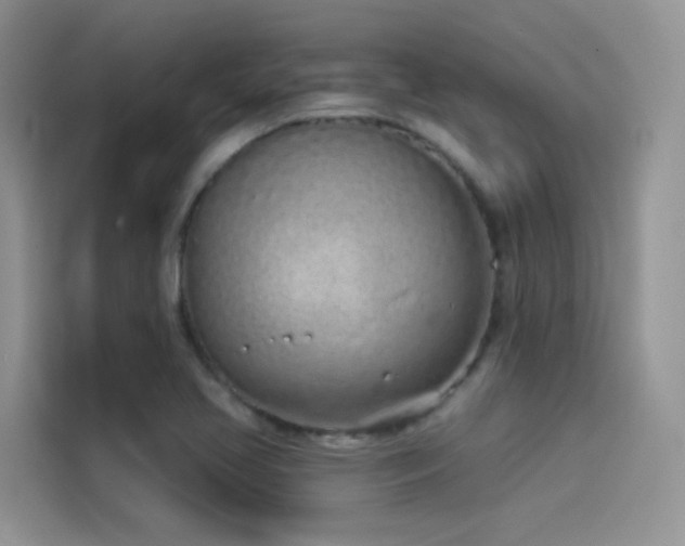 X0000114491413200910191222