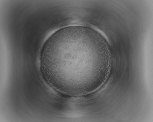 X0000114491415200910191222