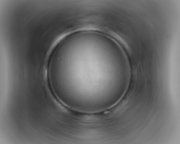 X0000114491416200910191222