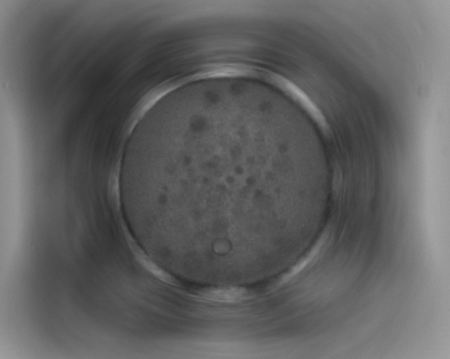 X0000114491417200910191222