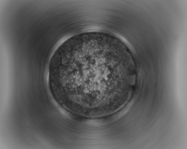 X0000114491418200910191222