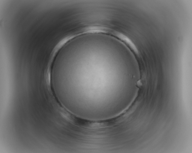 X0000114491419200910191222