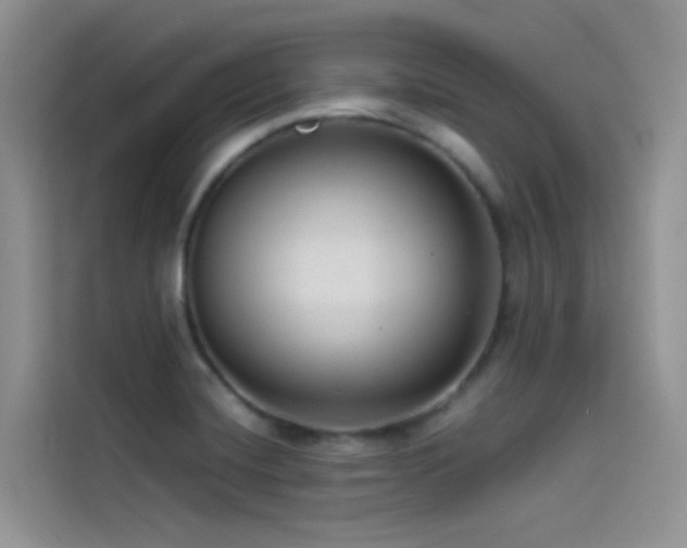 X0000114491420200910191222