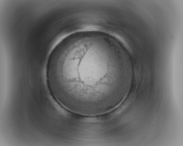 X0000114491422200910191222