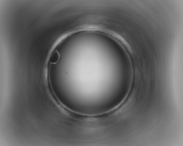 X0000114491424200910191222