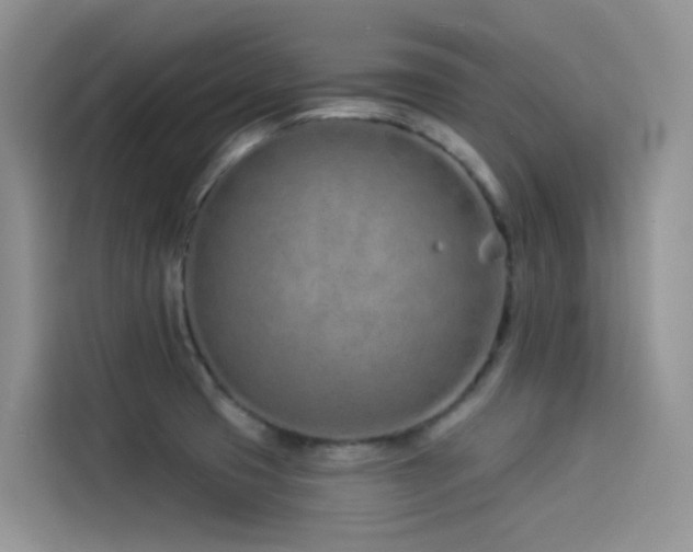 X0000114491425200910191222