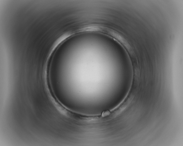 X0000114491426200910191222