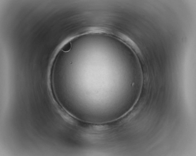 X0000114491427200910191222