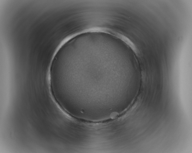 X0000114491428200910191222