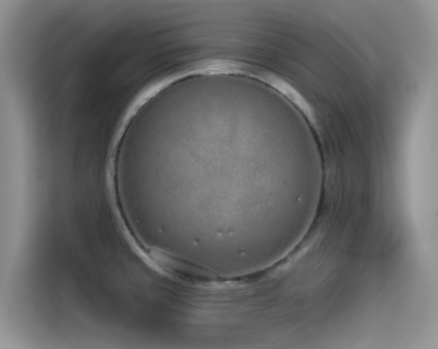 X0000114491429200910191222