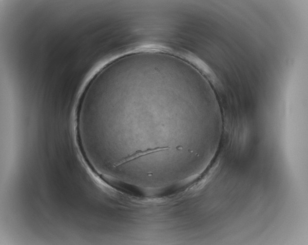 X0000114491430200910191222